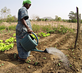 Ayuda al desarrollo Senegal - Otra Vida es Posible